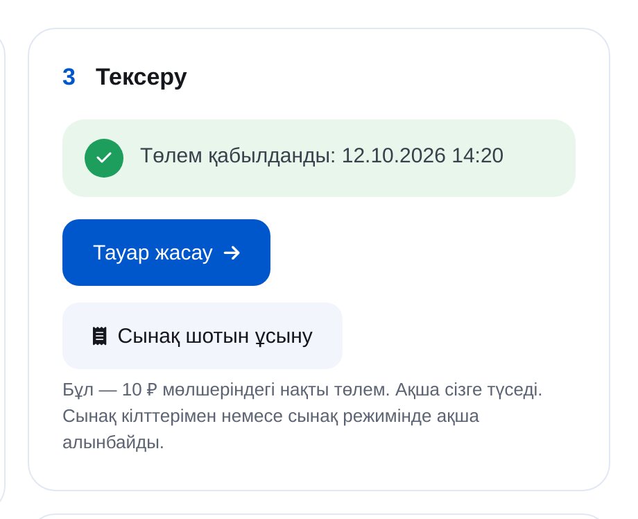 ЭТОЧАТБОТ қосылымын тексеру: 10 рубль сынақ шотынан кейінгі «Төлем қабылданды»